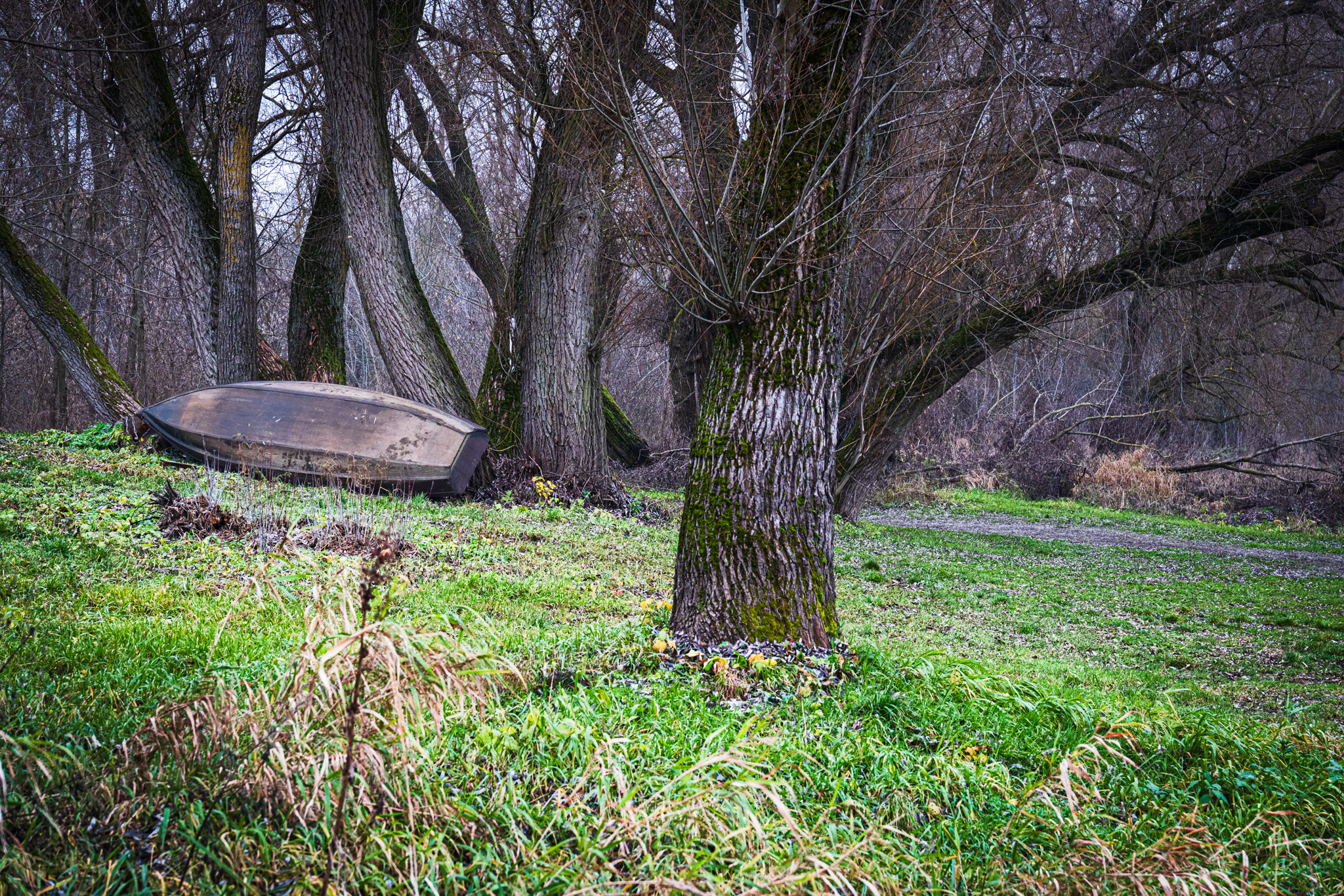 Bug Liwiec Loretto Bug w okolicach Kamienczyka 10